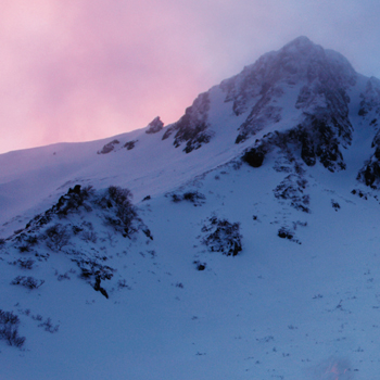 LOGOS “Coordination Book” & “NEW GEAR LIST”