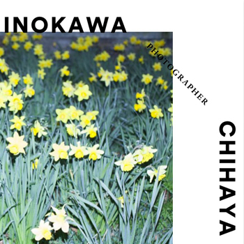 KAMINOKAWA CHIHAYA _web