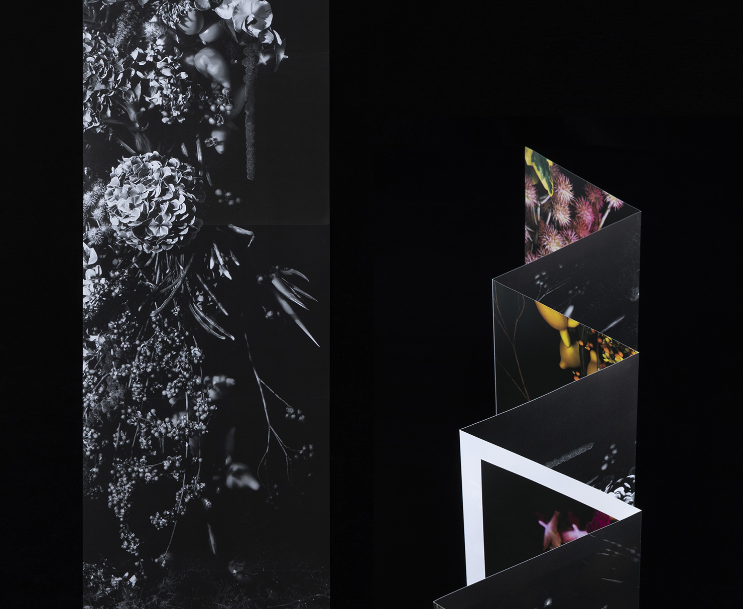 AKAI MASARU:photo book | キタダデザイン